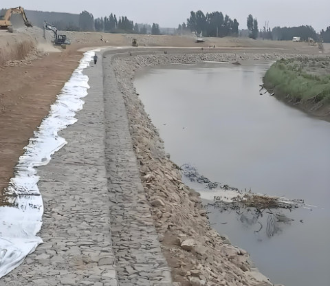 Últimos blogs da empresa sobre Maquinaria de Malha de Gabião Potencializando Infraestrutura Verde e Projetos de Eco-Restauração